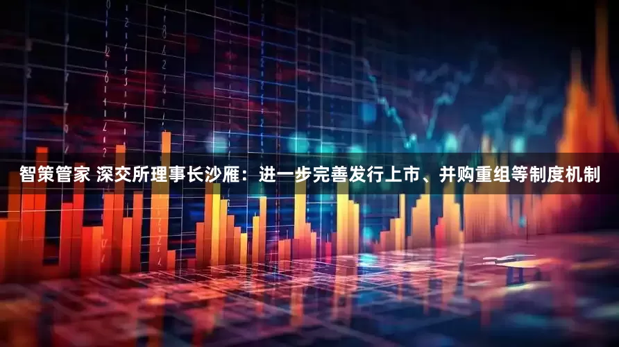 智策管家 深交所理事长沙雁：进一步完善发行上市、并购重组等制度机制