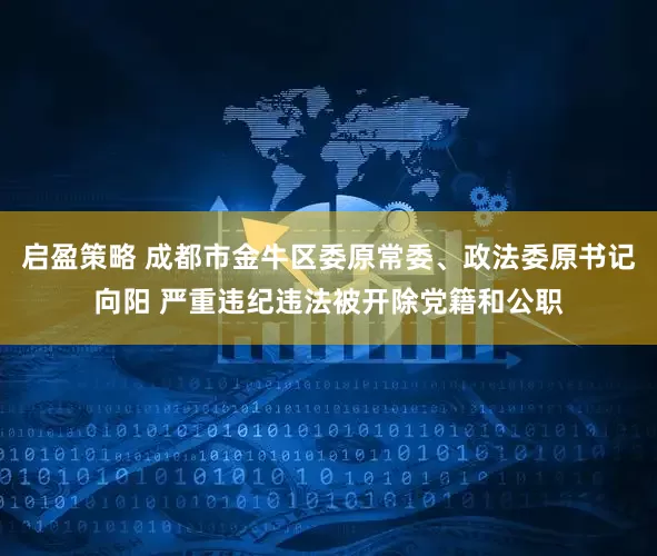 启盈策略 成都市金牛区委原常委、政法委原书记向阳 严重违纪违法被开除党籍和公职